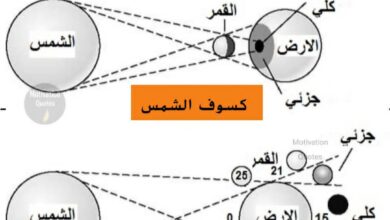 IMG 20250911 WA0034