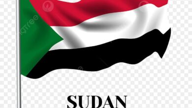 السودان، الصين، وتركيا يطلقون "المثلث الذهبي" للريادة الاقتصادية 10 IMG 20250925 WA0324