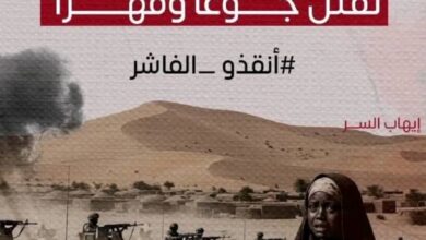 جامعة أمريكية تكشف إستمرار الأوضاع الكارثية بالفاشر 8 IMG 20251028 WA0223