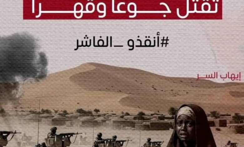 مسؤول أممي يكشف عن أمر خطير بالفاشر 1 IMG 20251028 WA0223