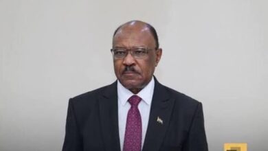 وزير الخارجية: الرباعية صنعها من صنعها..لا تعنينا في شيء!! 6 وزير الخارجية بالقاهرة يبحث التطورات بالسودان