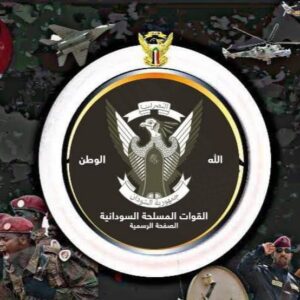 الجيش يسيطر على مناطق مهمة بالفاشر
