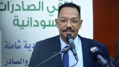 مدير الموارد المعدنية يرسم صورة قاتمة للتعدين التقليدي ويتوعد! 8 IMG 20251112 WA0526