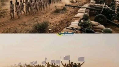 هذا ما يحدث الان في الفاشر 7 IMG 20251121 WA0309