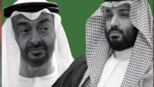 منظر أسد ومواء قطة.. ما القصة!! 2 منظر أسد ومواء قطة.. ما القصة!!