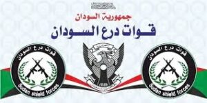 ماذا حدث في مدينة ود مدني.. درع السودان يوضح!! 2 ماذا حدث في مدينة ود مدني.. درع السودان يوضح!!