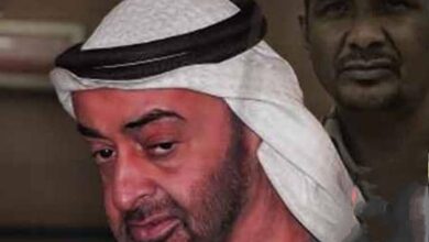 تحت إشراف الإمارات.. دولة عربية تقام الآن في دارفور !  