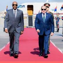لماذا تشدد مصر على تنفيذ الدفاع المشترك مع السودان.. وزير الخارجية المصري يجيب 7 download 18