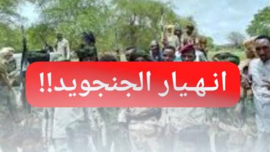 المليشيا تنهار.. مجموعات بكردفان تستسلم للجيش