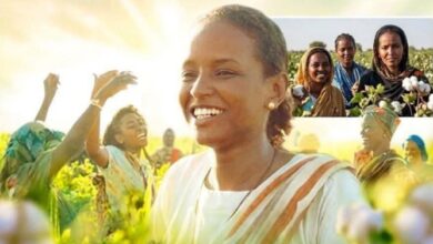الفيلم السوداني (ملكة القطن) يزين دور السينما بالقاهرة 11 IMG 20260430 WA0121
