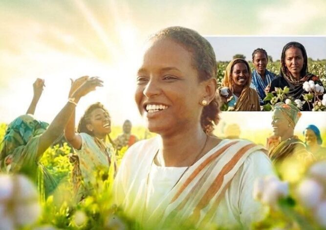 الفيلم السوداني (ملكة القطن) يزين دور السينما بالقاهرة 1 IMG 20260430 WA0121