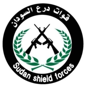 قوات درع السودان تثير أمرا خطيرا