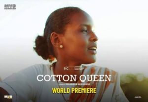 الفيلم السوداني (ملكة القطن) يزين دور السينما بالقاهرة 2 الفيلم السوداني (ملكة القطن) يزين دور السينما بالقاهرة