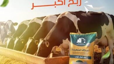 وظيفة مميزة في السعودية برواتب مجزية..!!