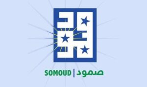 خبراء إستراتيجيون يحللون مواقف تأسيس _صمود تجاه الوطن!