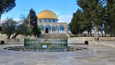 كل القوة جوة الأقصى .. كسر الإغلاق وإستعادة الهوية 9 qna al aqsa mosque 03 04 2026 1