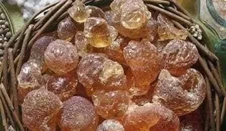 70% من الصمغ بالعالم من السودان.. هل تتسب الحرب عرقلة صناعة المشروبات الغازية؟ 1 FB IMG 1787999298865