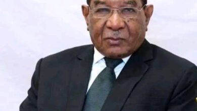مدير شركة الكهرباء السابق يسرد تجربة قطاع الكهرباء في السودان 1 IMG 20260806 WA0585