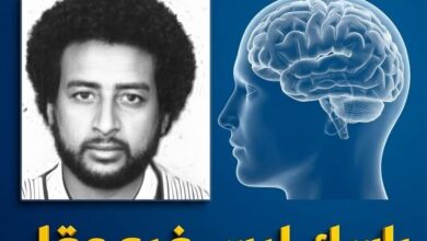 يا خبر.. رأسك ليس فيه عقل !! 7 IMG 20260808 WA0442