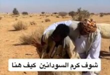 حملة ممنهجة لتشويه القيم السودانية بتشاد!! 2 IMG 20261001 WA0011