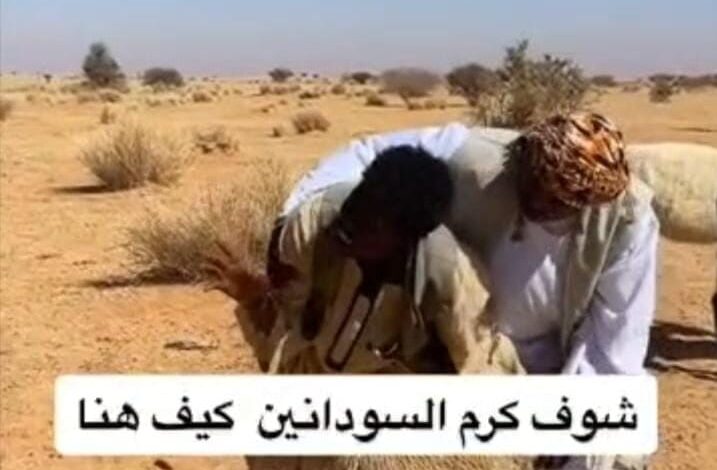 حملة ممنهجة لتشويه القيم السودانية بتشاد!! 1 IMG 20261001 WA0011
